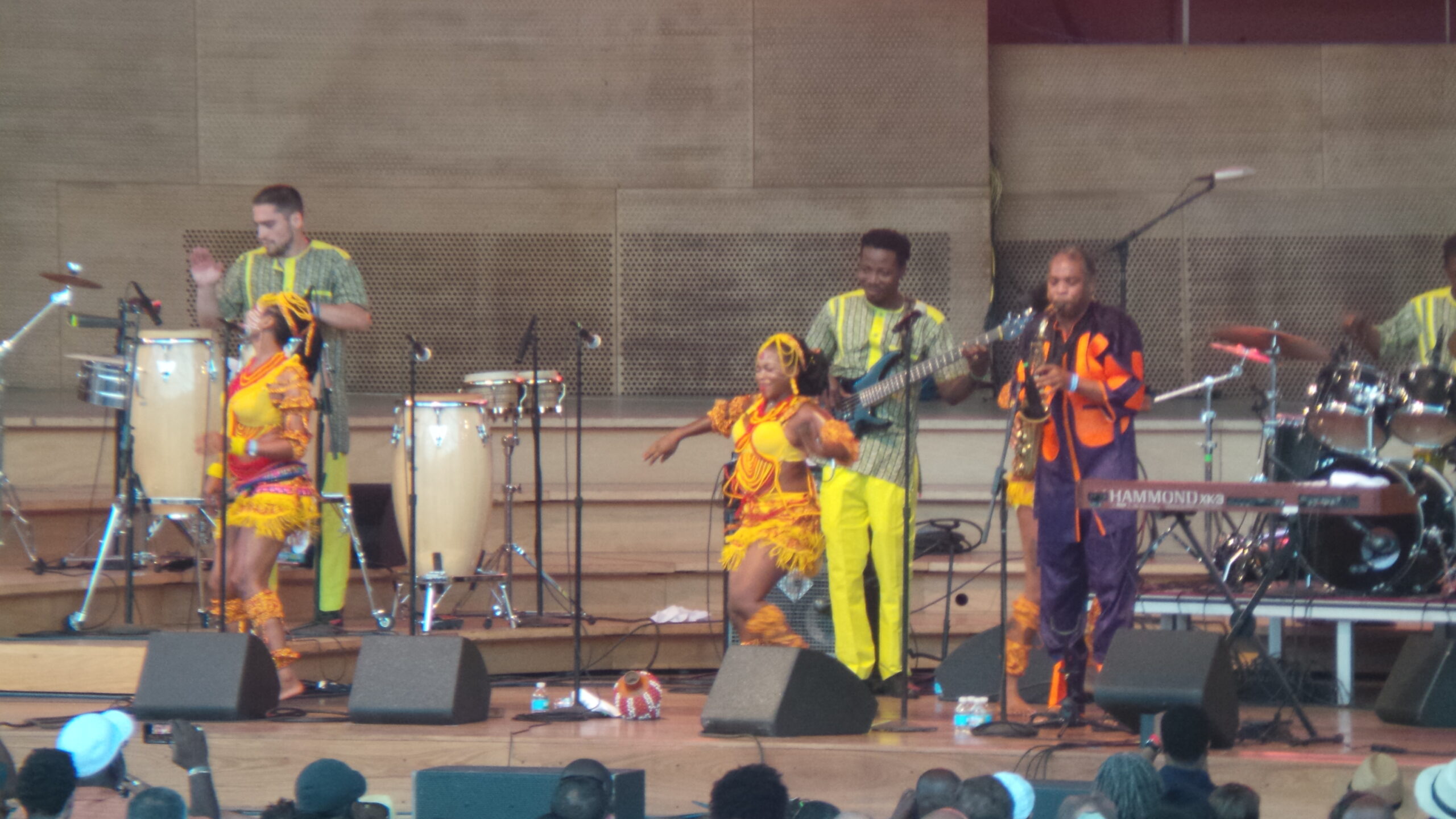 Unieros Picnic Photos: Femi Kuti and The Positive Force