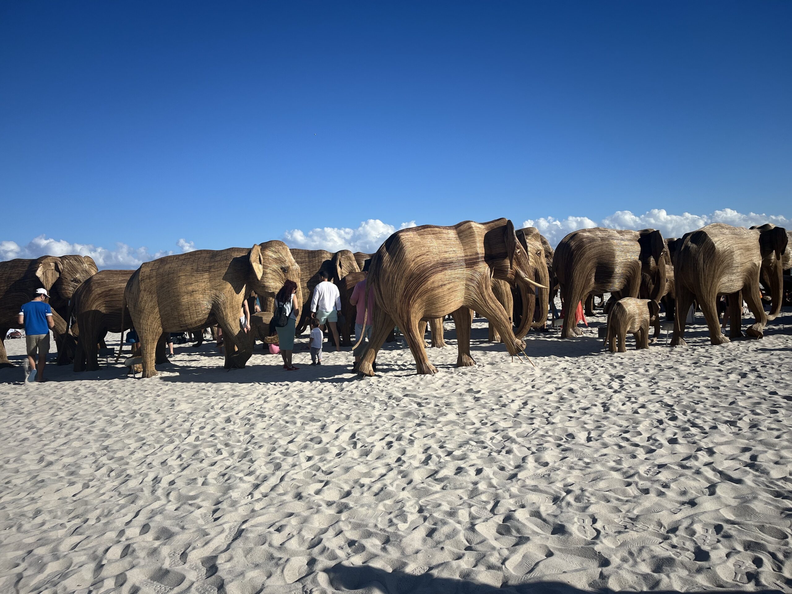 The Cultural Significance of Elephants in India and The Great Migration Exhibition in Miami Beach